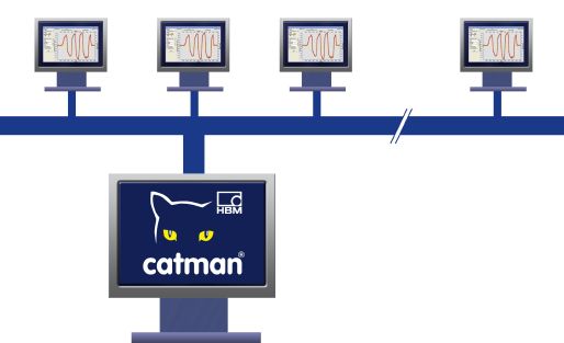 Catman Enterprise Software